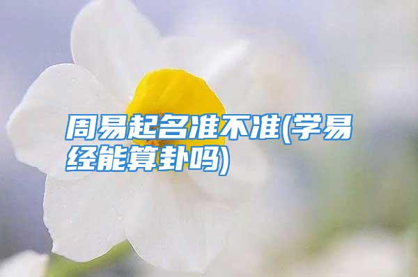 周易起名准不准(学易经能算卦吗)