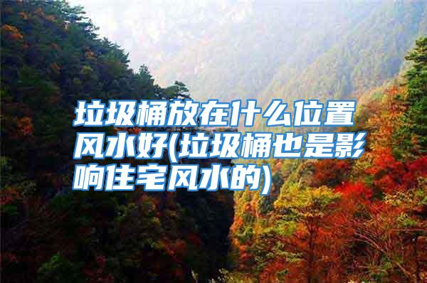 垃圾桶放在什么位置风水好(垃圾桶也是影响住宅风水的)