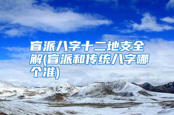 盲派八字十二地支全解(盲派和传统八字哪个准)