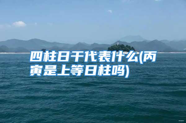 四柱日干代表什么(丙寅是上等日柱吗)