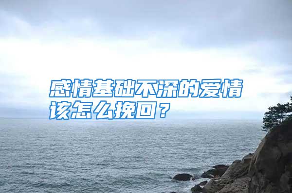 感情基础不深的爱情该怎么挽回？