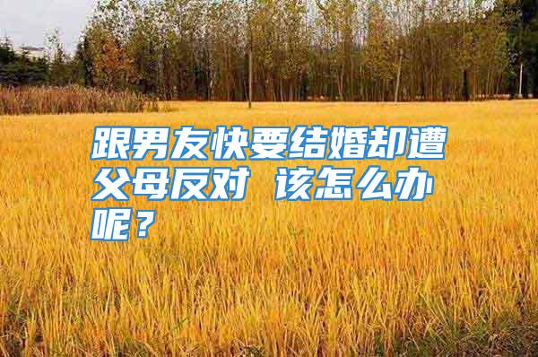 跟男友快要结婚却遭父母反对 该怎么办呢？