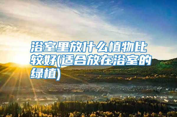 浴室里放什么植物比较好(适合放在浴室的绿植)