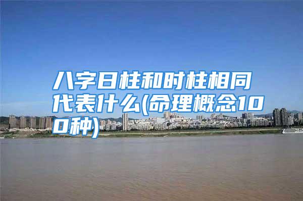 八字日柱和时柱相同代表什么(命理概念100种)