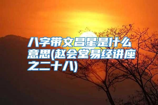 八字带文昌星是什么意思(赵会堂易经讲座之二十八)