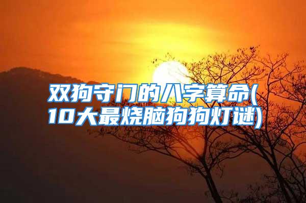 双狗守门的八字算命(10大最烧脑狗狗灯谜)