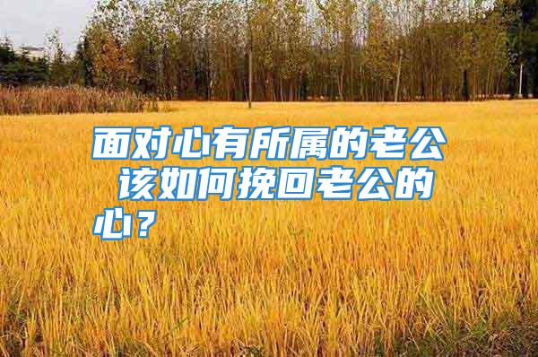 面对心有所属的老公 该如何挽回老公的心？