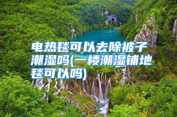 电热毯可以去除被子潮湿吗(一楼潮湿铺地毯可以吗)