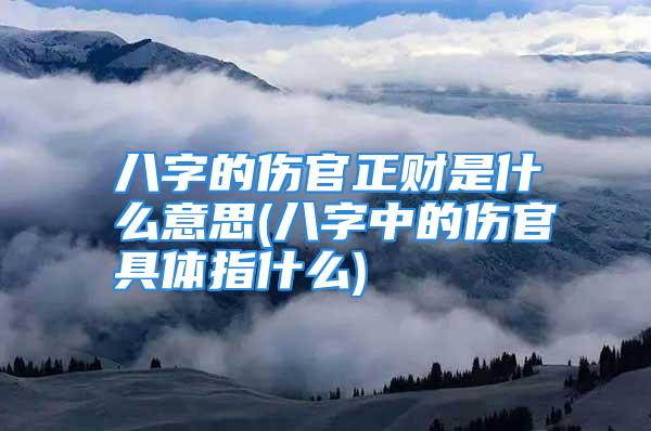 八字的伤官正财是什么意思(八字中的伤官具体指什么)