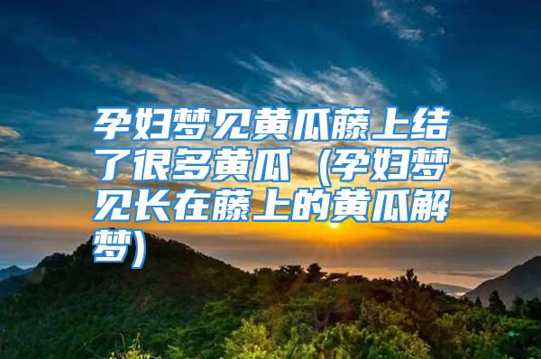 孕妇梦见黄瓜藤上结了很多黄瓜 (孕妇梦见长在藤上的黄瓜解梦)