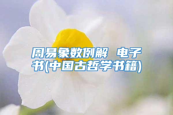 周易象数例解 电子书(中国古哲学书籍)