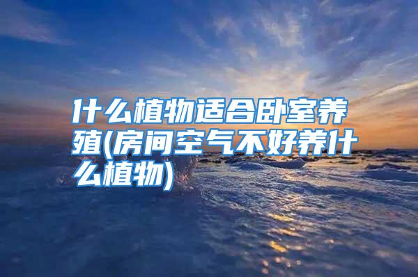 什么植物适合卧室养殖(房间空气不好养什么植物)