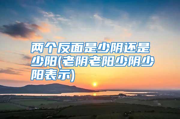 两个反面是少阴还是少阳(老阴老阳少阴少阳表示)