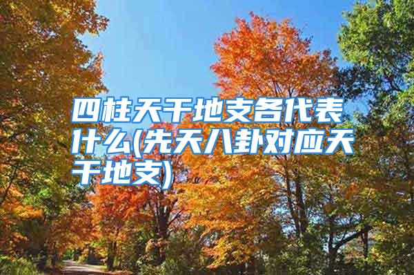 四柱天干地支各代表什么(先天八卦对应天干地支)