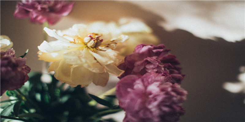 貔貅的佩戴忌讳和讲究(貔貅手链佩戴)