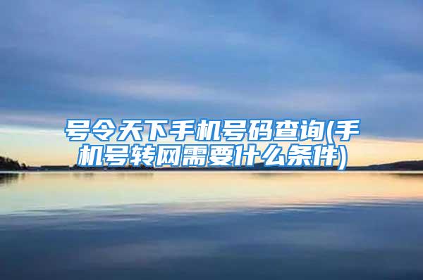 号令天下手机号码查询(手机号转网需要什么条件)