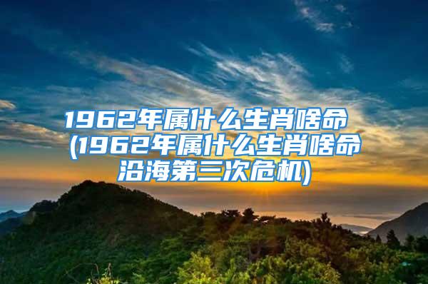 1962年属什么生肖啥命 (1962年属什么生肖啥命沿海第三次危机)