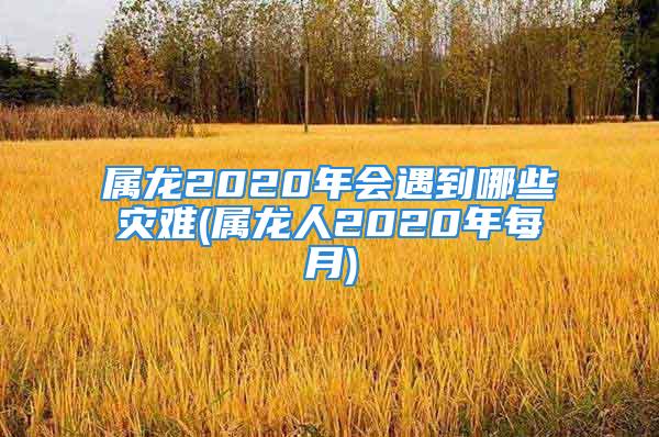 属龙2020年会遇到哪些灾难(属龙人2020年每月)