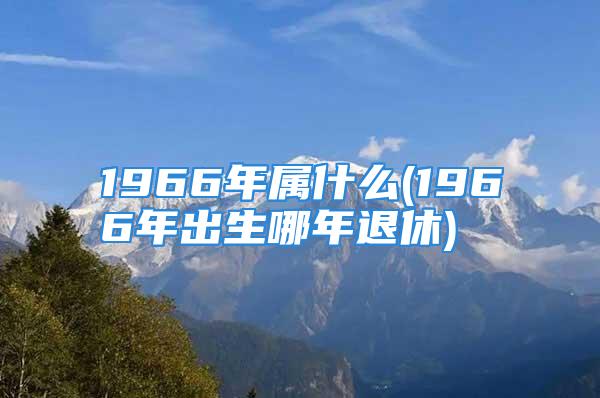 1966年属什么(1966年出生哪年退休)