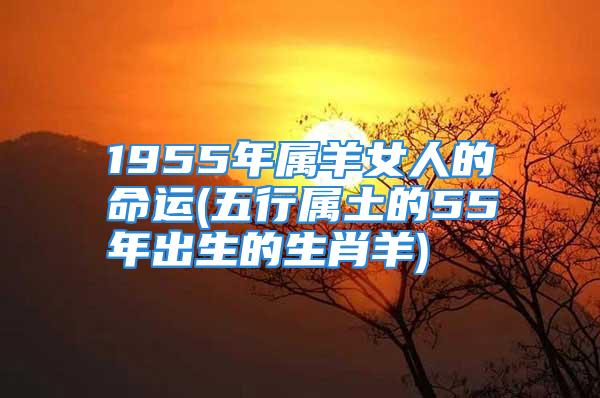 1955年属羊女人的命运(五行属土的55年出生的生肖羊)