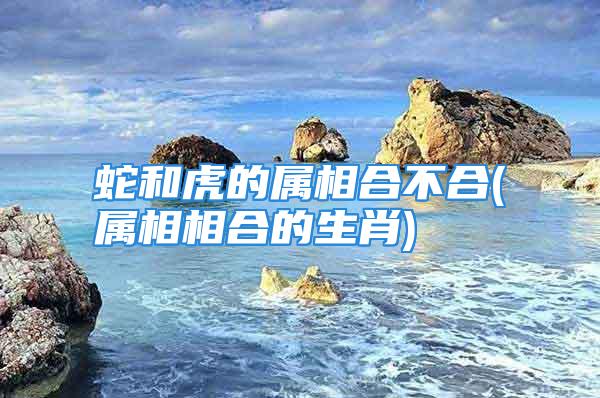 蛇和虎的属相合不合(属相相合的生肖)