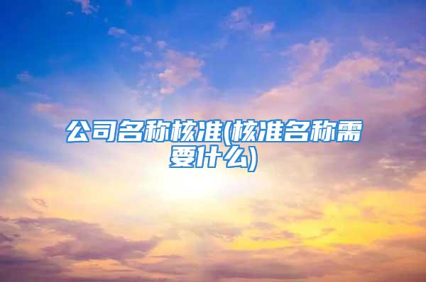 公司名称核准(核准名称需要什么)