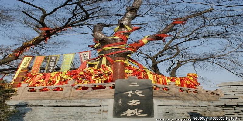 柏乡县西北鲁算卦(菏泽市开发区史话之十八)