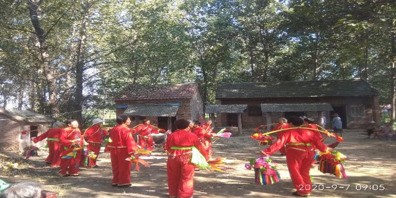 宝丰洼李村算卦(太康县农村庙会)