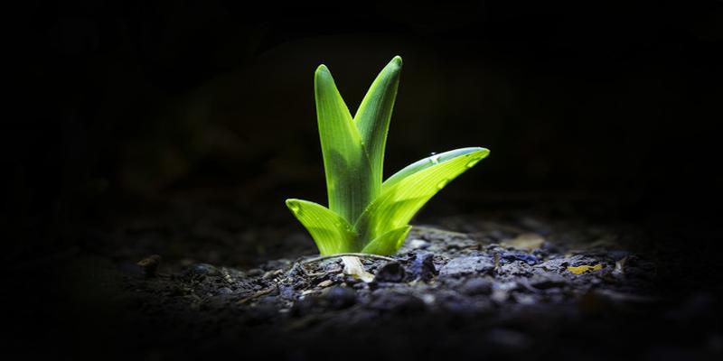 怎样用周易算卦占卜(周易算卦是怎么一回事)