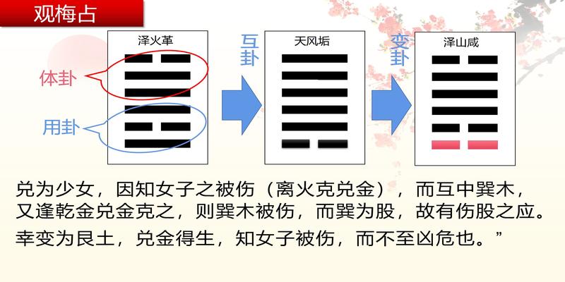 林武樟梅花易数122卦例讲义(梅花易数之“观梅占”卦例)