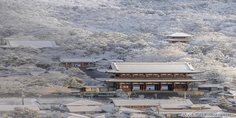 梅花易数丢东西解释(侠客传奇故事之梅花易数奇缘)