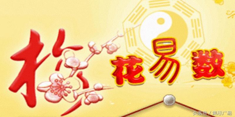 梅花易数入门知识(为什么叫梅花易数)