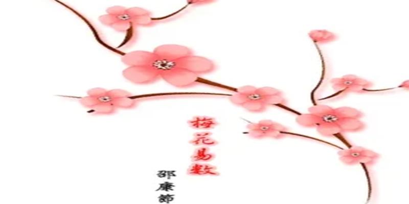 梅花易数泽雷随(为什么南怀瑾“经常骂邵康节骗人”)