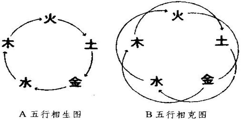 梅花易数泽雷随(为什么南怀瑾“经常骂邵康节骗人”)