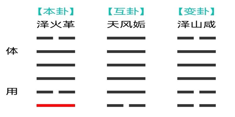 梅花易数顺序(梅花易数之观梅占)