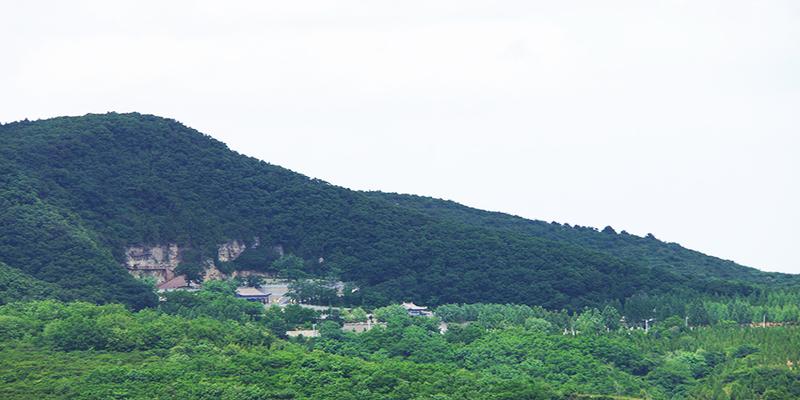 淇县哪有算卦准的(除了河南淇县)