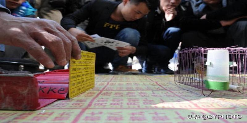 生日那天算卦吉利吗(“神鸟”算命)