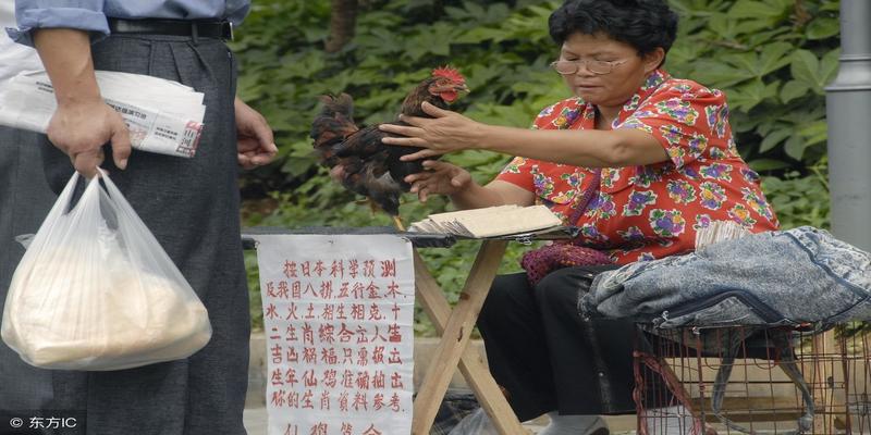 石家庄算卦的地方(国庆出游看到这些请绕行)