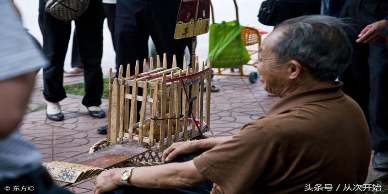 算卦在线抽签(先生用鸟算命)