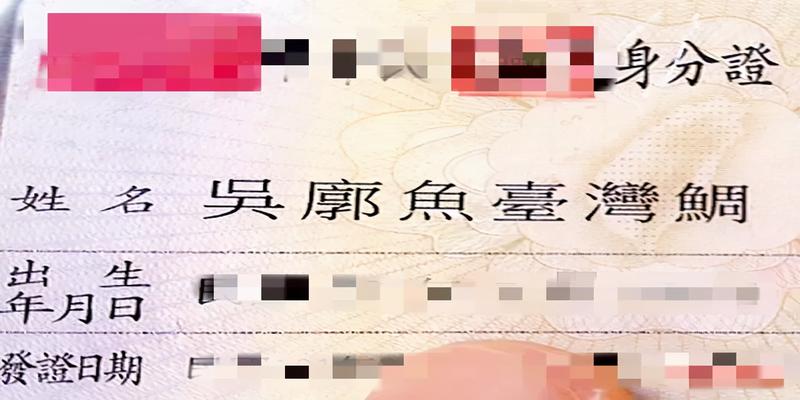 算卦大师用什么网名(看了台湾狠人的名字)