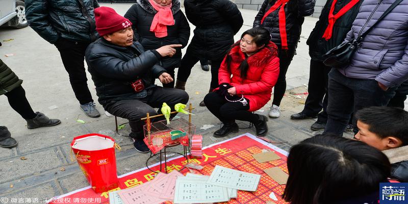 算卦的怎么算出对方的姓(一只小鸟就能算出自己的命运)