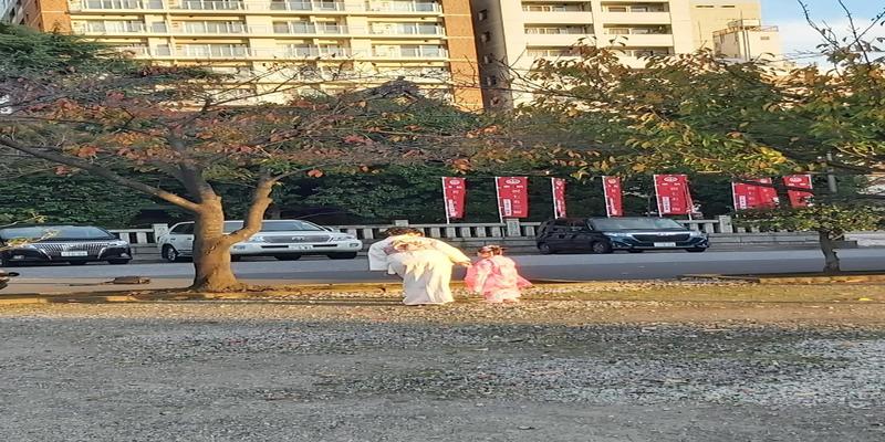 算卦的能算出来流产吗(日本浅草漫步)