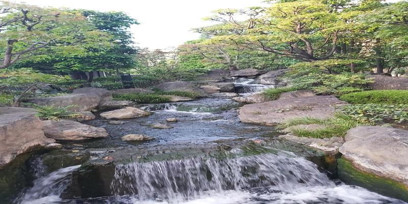 算卦的能算出来流产吗(日本浅草漫步)