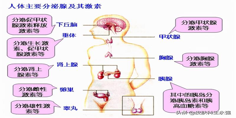 算卦的说寿命能信吗(寿命长短和哪些因素有关)