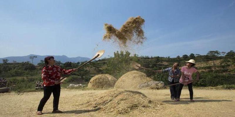 算卦说此人不上卦啥意思(豫北农村民国时期奇案)