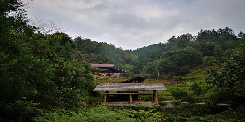 算卦连抽三个下下签(大学生写家史)