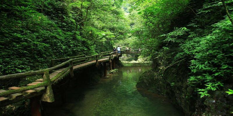 青城山算卦最准的道长(“问道青城山”)