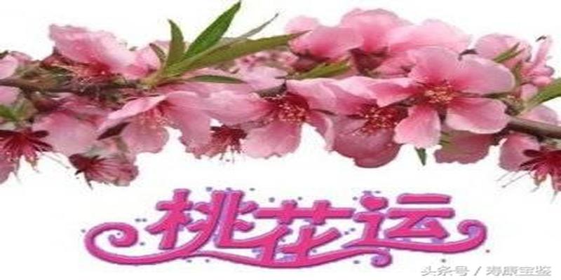 八字三个桃花星(教会你自己看命中的桃花及流年桃花何日来)