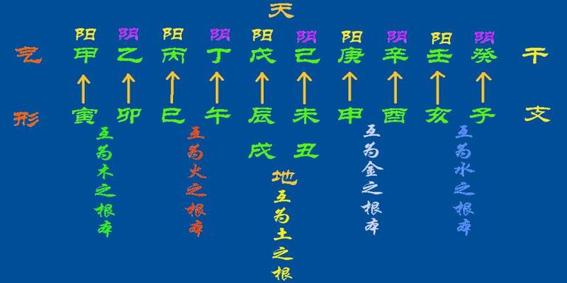 八字命盘怎么看(三天教会你看八字)