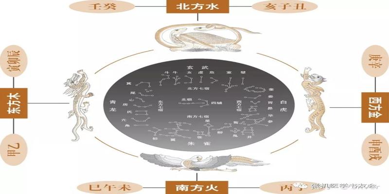 八字属阴还是属阳(天干地支五行)